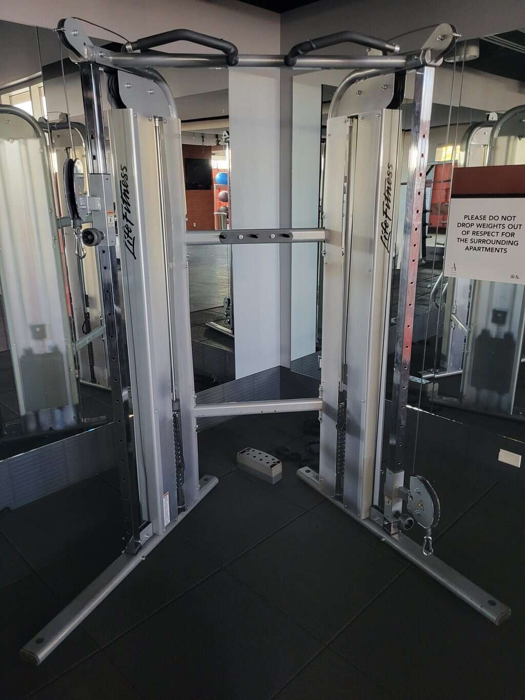 Life Fitness OSDAP Optima Dual Adjustable Pulley (DAP)