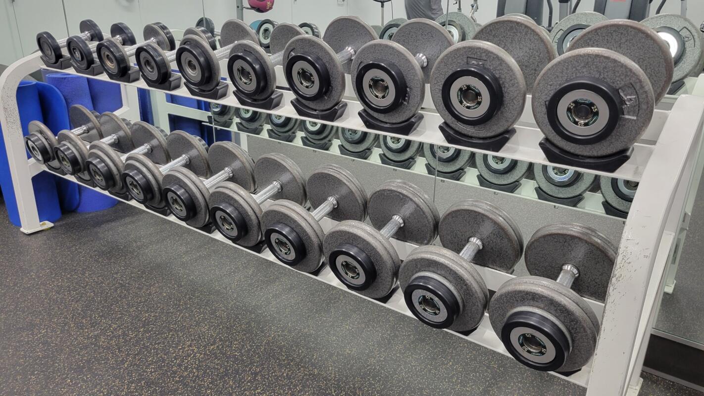 Hampton Fitness Pro Style Dumbbell Set — 5–50 lbs with Rack