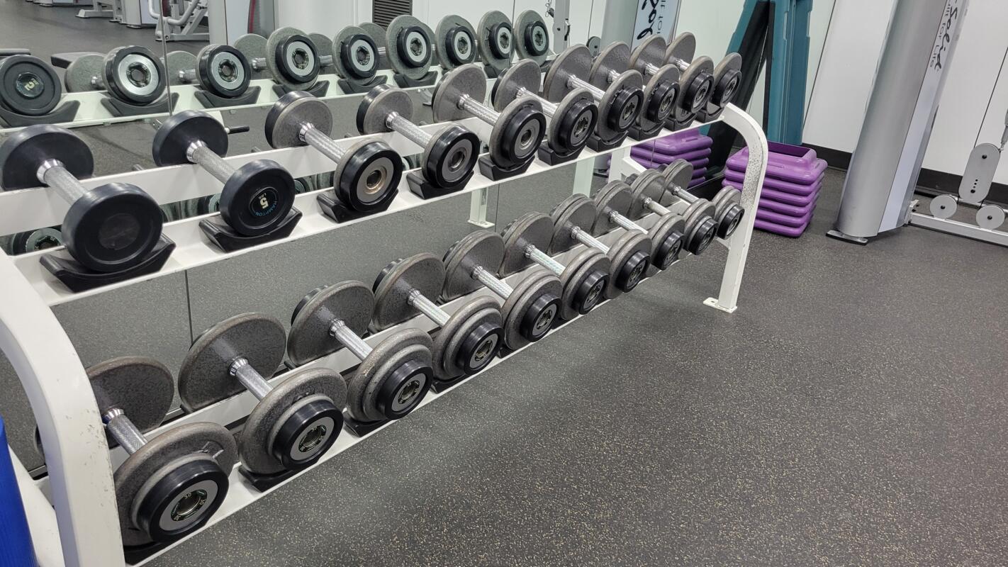 Hampton Fitness Pro Style Dumbbell Set — 5–50 lbs with Rack - Image 3