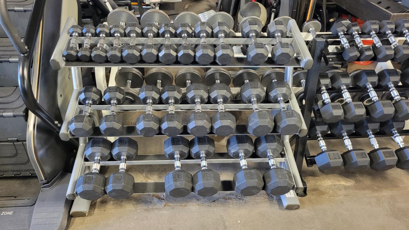 Life Fitness Rubber HEX Dumbbells (USED)