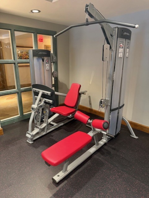 Life Fitness Optima Series Lat Pulldown/Low Row